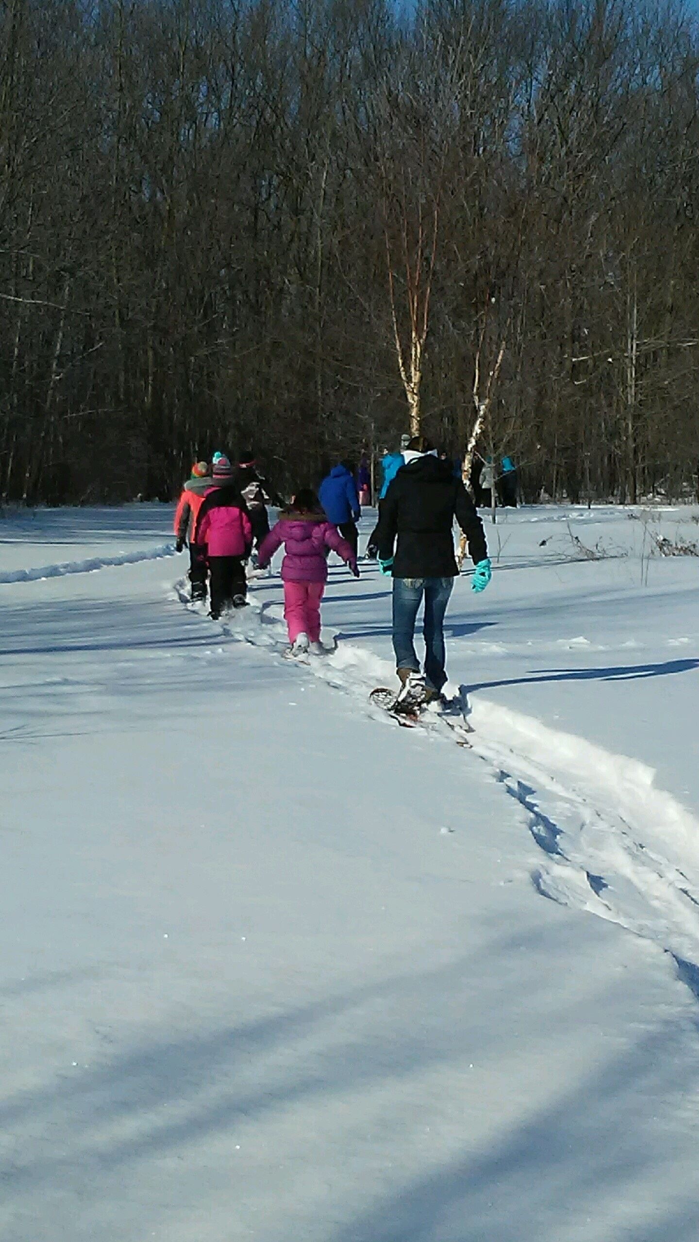 People walking in a line on snowshoes