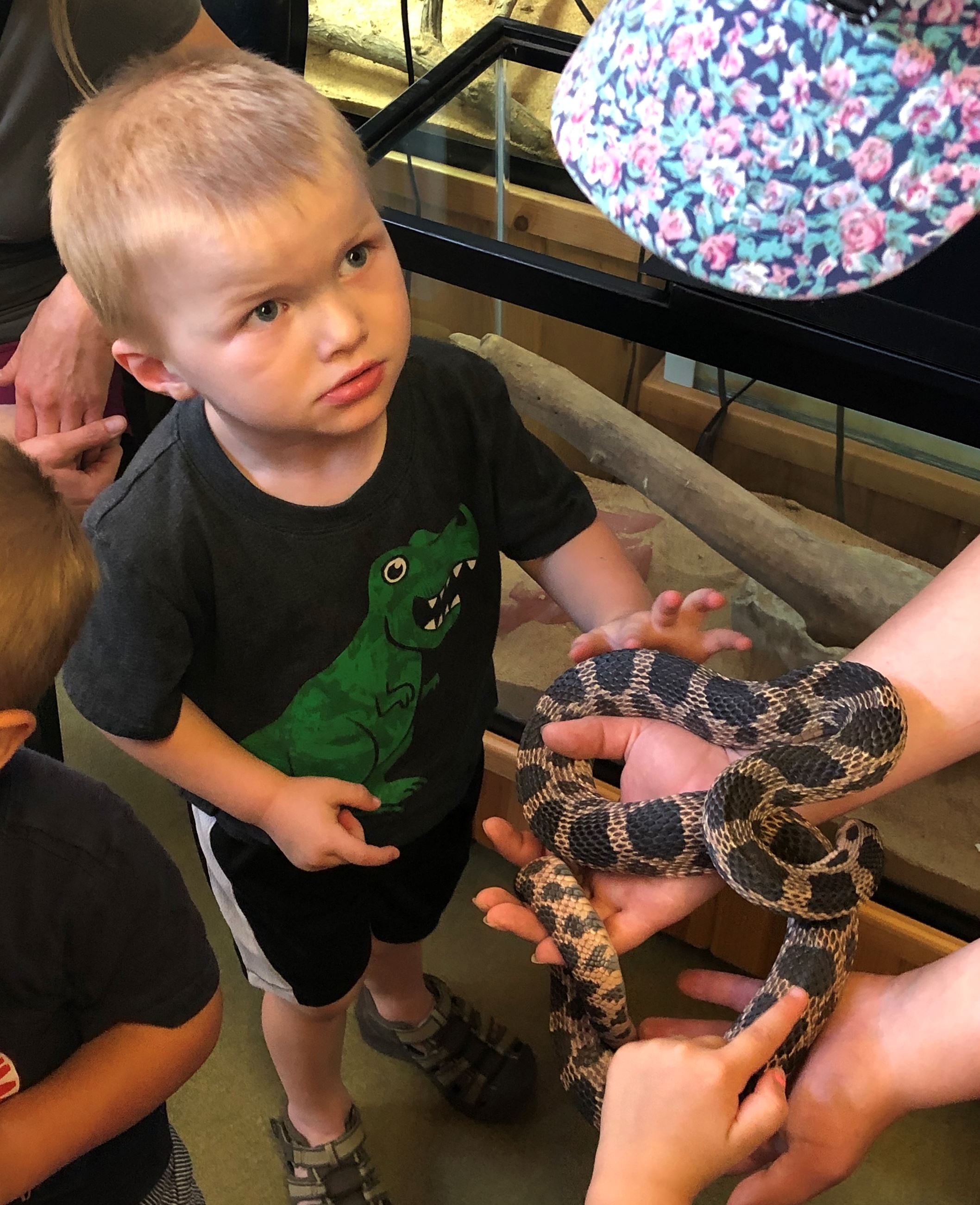 A little boy is touching a snake with black spots on it. the snake is being held by an instructor.